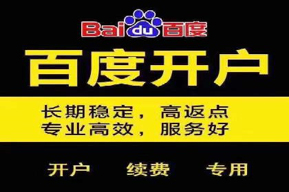 百度推广在汽车行业的营销案例